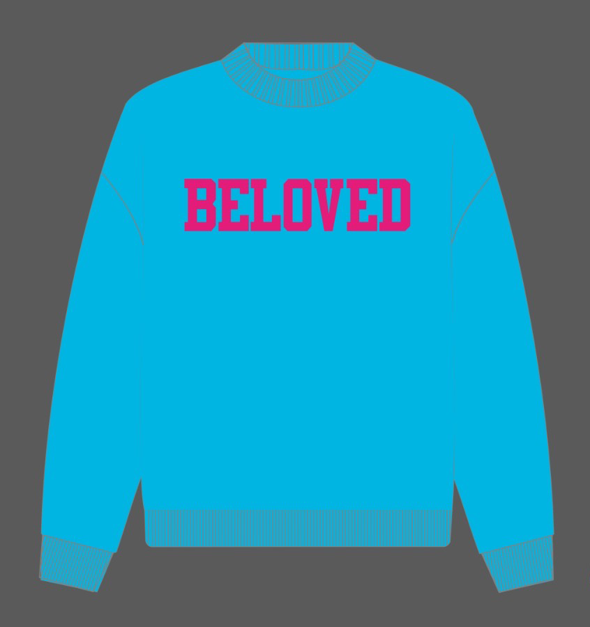 Beloved Sweater Blue