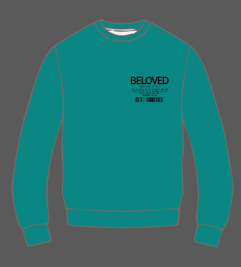 Beloved Paid Sweatshirt Teal